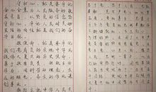 中学生硬笔书法作业走红，标准如印刷体，老师：作文不得高分都难