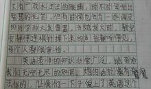 新来的英语代课教师，单词教学很有创意，学生在作文中为她点赞