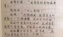 小学生作文《套路》，随便写诗暗示老师，寒假“没做”