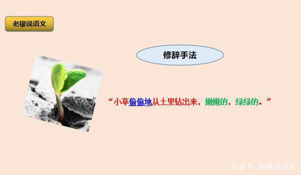 如何避免作文写成流水账?老穆来支招 3