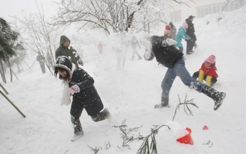 我忘不了那次打雪仗 打雪仗作文700字