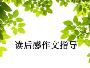 作文指导：如何写好读后感