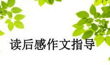 作文指导：如何写好读后感