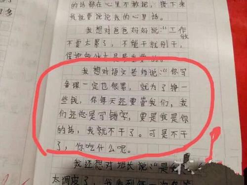 我们的语文老师是体育老师 影响我一生的老师500字作文