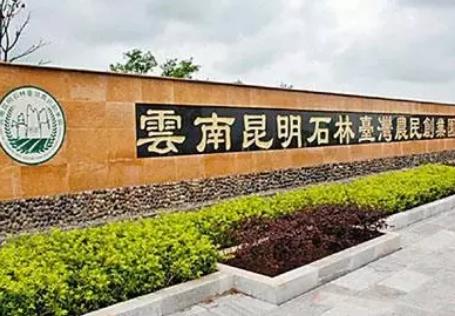 游昆明之石林 四年级游云南石林作文300字