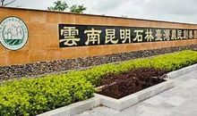 游昆明之石林 四年级游云南石林作文300字