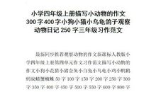 我的猫咪 三年级描写小猫作文700字