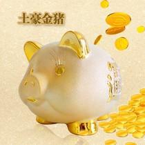 我的“金猪”和“银兔” 我的存钱罐1000字作文