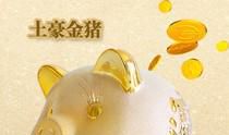 我的“金猪”和“银兔” 我的存钱罐1000字作文
