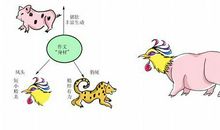 语文作文怎么结尾写出“豹尾” 这几种方式值得收藏!