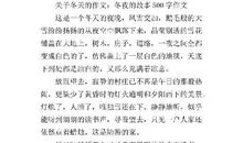 冬夜 美丽的冬夜500字作文