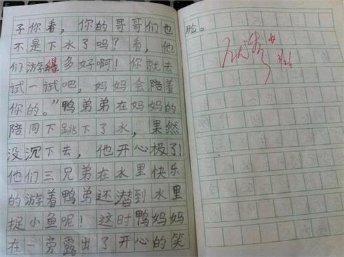多动的弟弟 好动的弟弟300字作文
