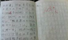 多动的弟弟 好动的弟弟300字作文