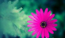 客户周末祝福短信2017