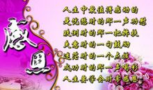 我成长您付出 初三感恩父母作文600字