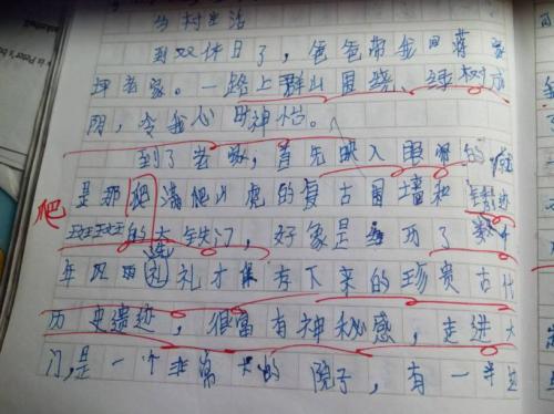 感悟四季 四季的美500字作文