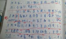 感悟四季 四季的美500字作文