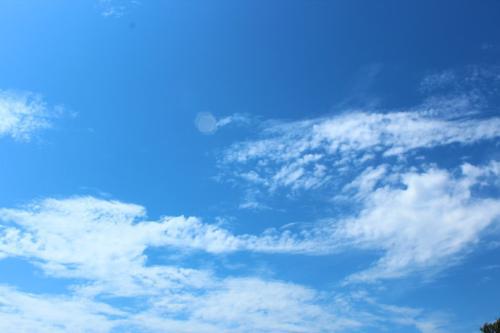 蓝，天蓝的蓝 保护海洋环境400字作文