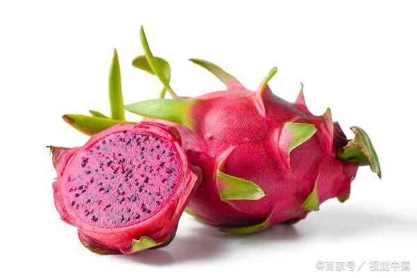 有备无患!虽是冷门作文,也可能出现在考卷中,先收藏写作方法吧 1
