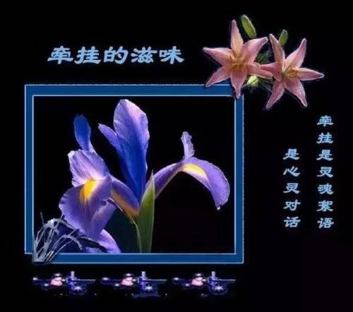 有关于牵挂主题作文：《妈妈的牵挂》