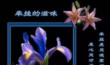 有关于牵挂主题作文：《妈妈的牵挂》