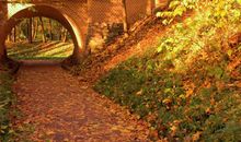 有关于立秋主题作文欣赏：《立秋随想》