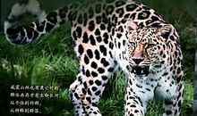 人教2019版高中生物新教材读后感