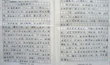 我最感激的一个人作文400字