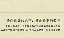 《诗里特别有禅》散文集读后感