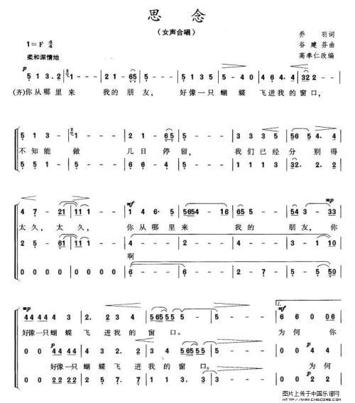 节日的思念 写思念的作文400字