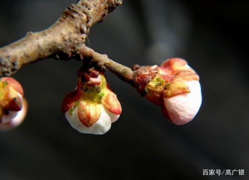 我一个大学毕业的,辅导一个小学生写作文咋都这么难 6