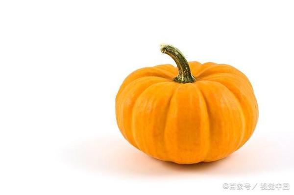 高中生优秀作文:南瓜