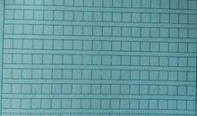 国庆节见闻作文500字