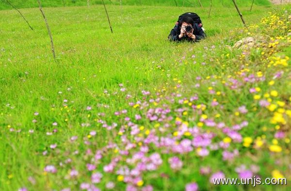 春游作文素材大全