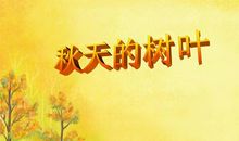 秋天的枫叶作文300字
