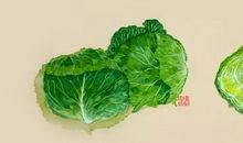 初中作文 | 这一次，我和你们不一样