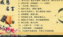 有关感恩的励志名言