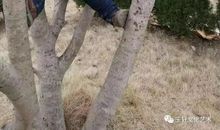 玉轩教育“新构思作文”系列——学生篇（二）