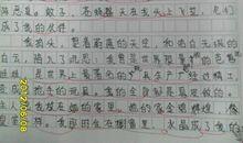 我喜欢的芭比 我最喜欢的玩具400字作文