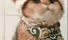 原创 考研作文30分呢！现在准备还嫌早？