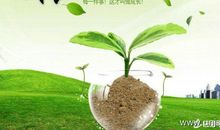 成长中的快乐初中作文