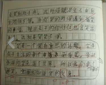 浅笑 高中生随笔作文700字