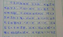 关于春雨的作文