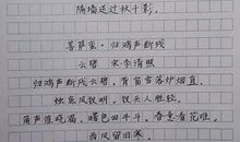 秋千影作文1000字