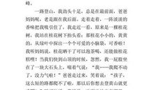 登山四年级作文