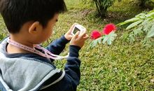 让孩子叫苦连天的作文，其实“逛公园”就可以轻松搞定