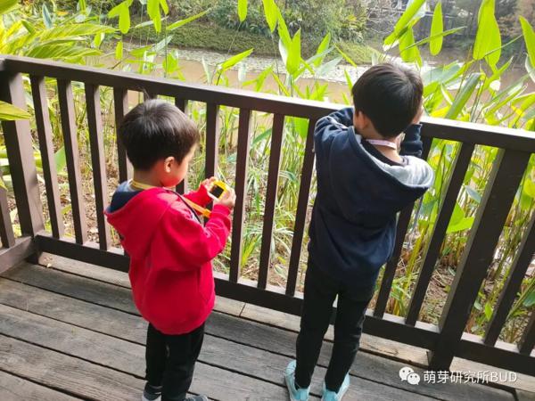 让孩子叫苦连天的作文，其实“逛公园”就可以轻松搞定 1