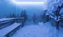 原创 吴刚作文|伍晟哲《冬之作品》