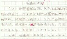 过生日 开心的一天500字作文