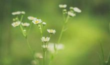 成安新语 |《我的单位观》读后感（六）